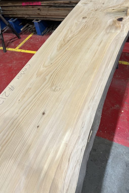 Cedar #213