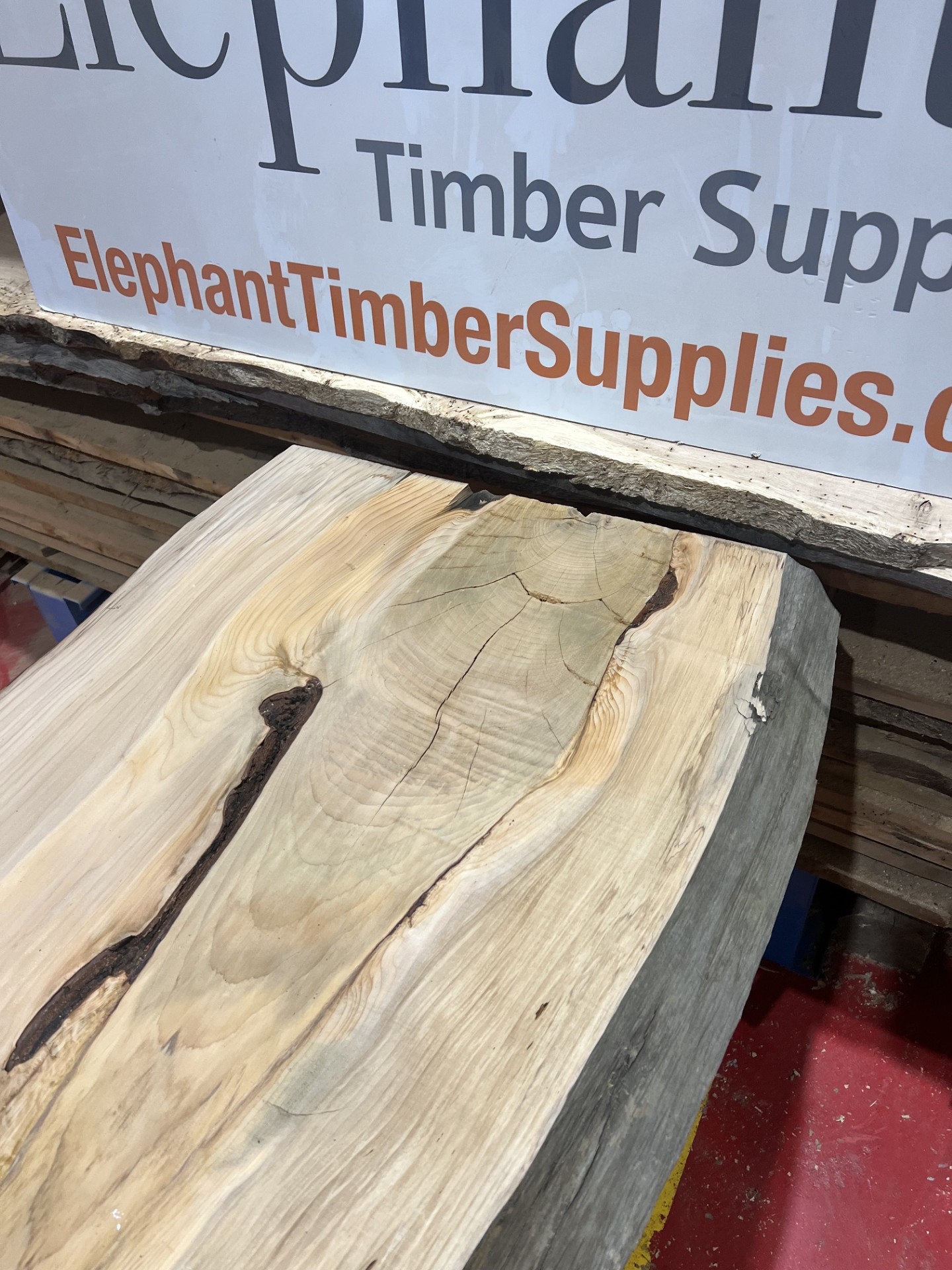 Cedar #218
