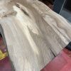 Elm #318