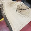 Oak 347