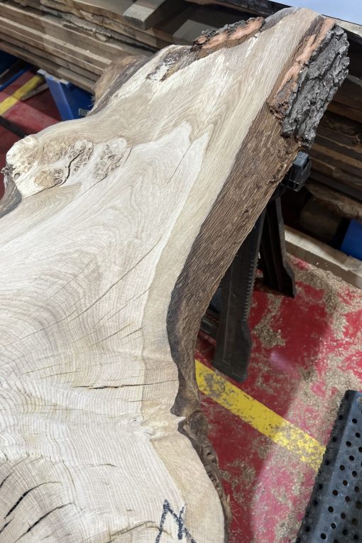 Oak 347