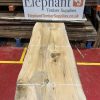 Cedar #218