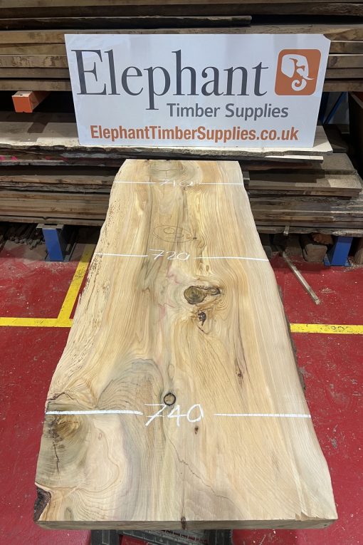 Cedar #218