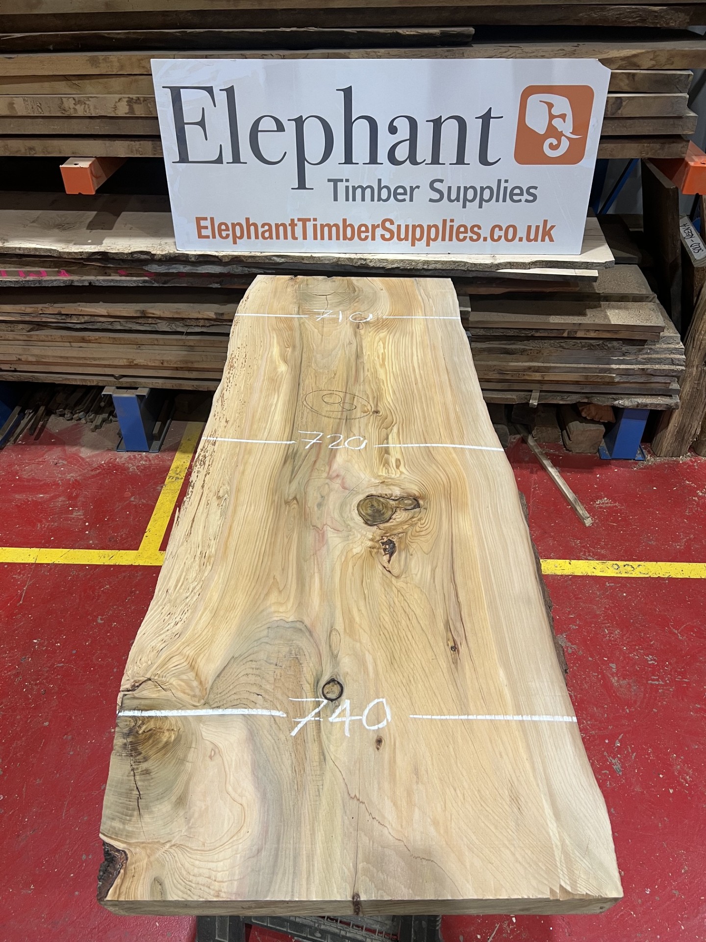 Cedar #218