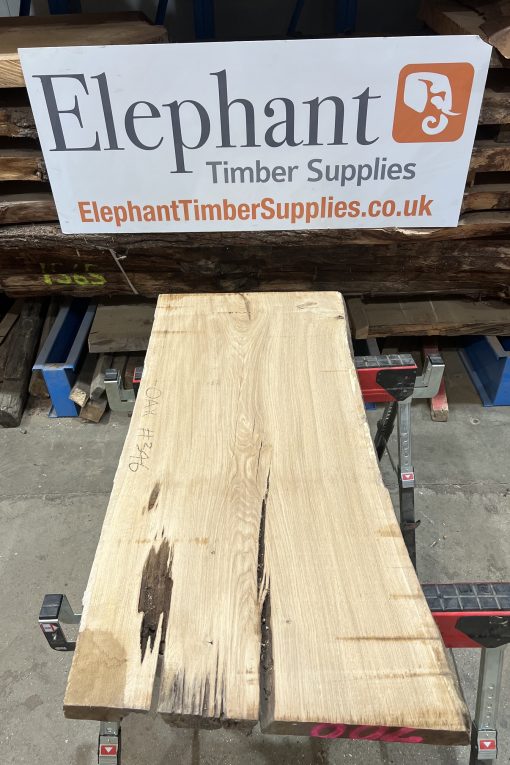 Oak #346
