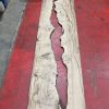 Oak #3520