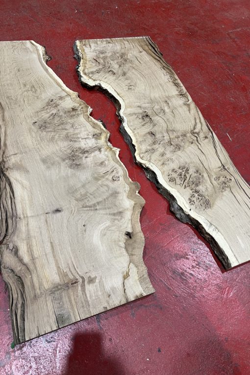 Oak #353