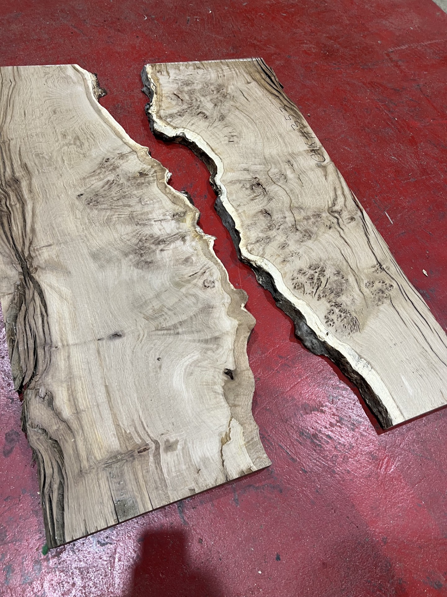 Oak #353