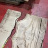 Oak #3520