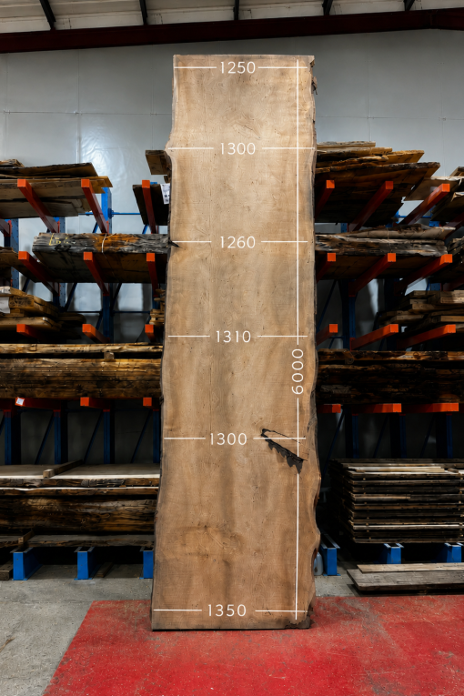 Cedar #221