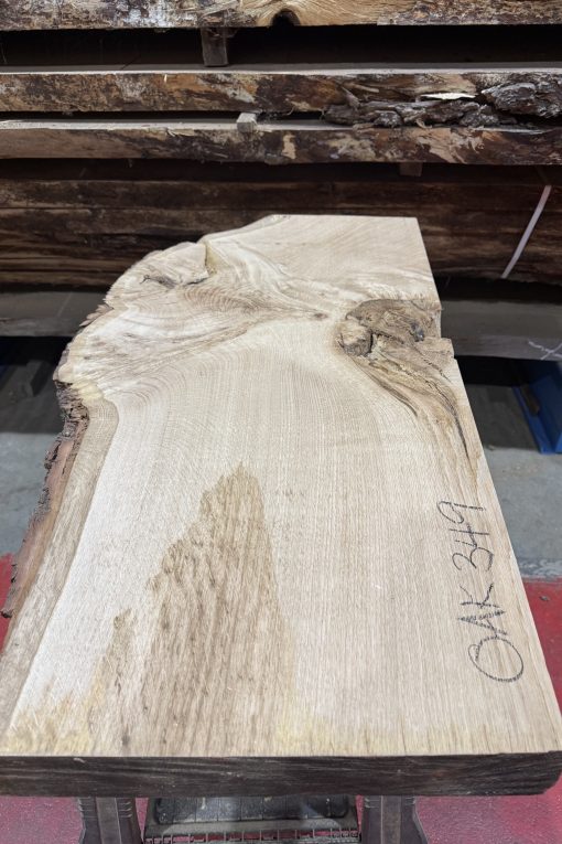 Oak #349