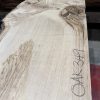 Oak #349