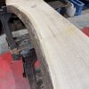 Oak #350