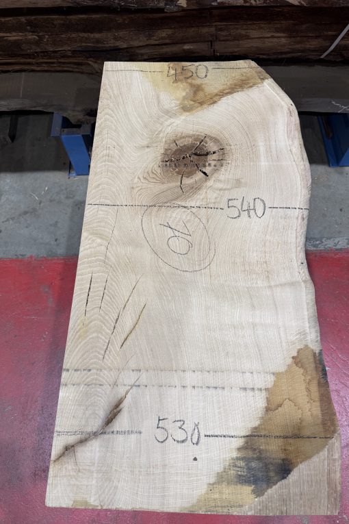 Oak #351