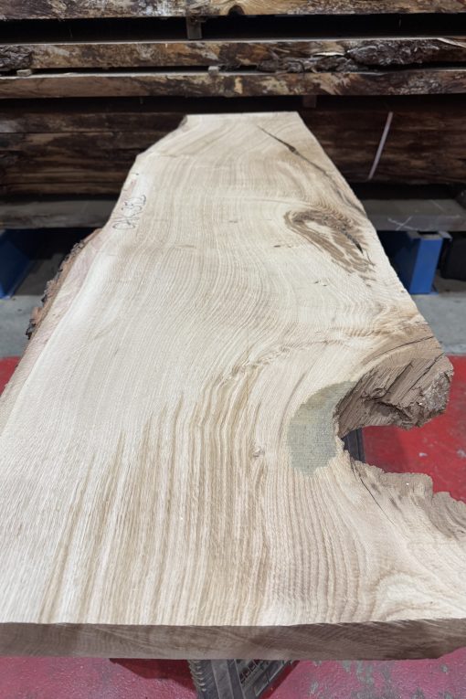 Oak #352