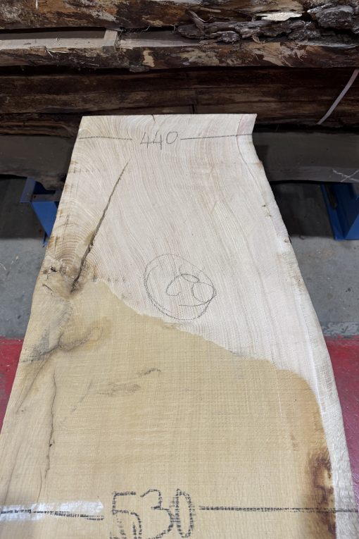 Oak #352