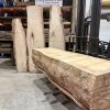 Sycamore Boule 1711