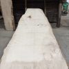 Sycamore #235