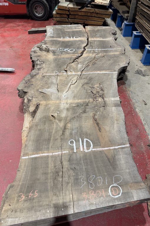 Elm 321
