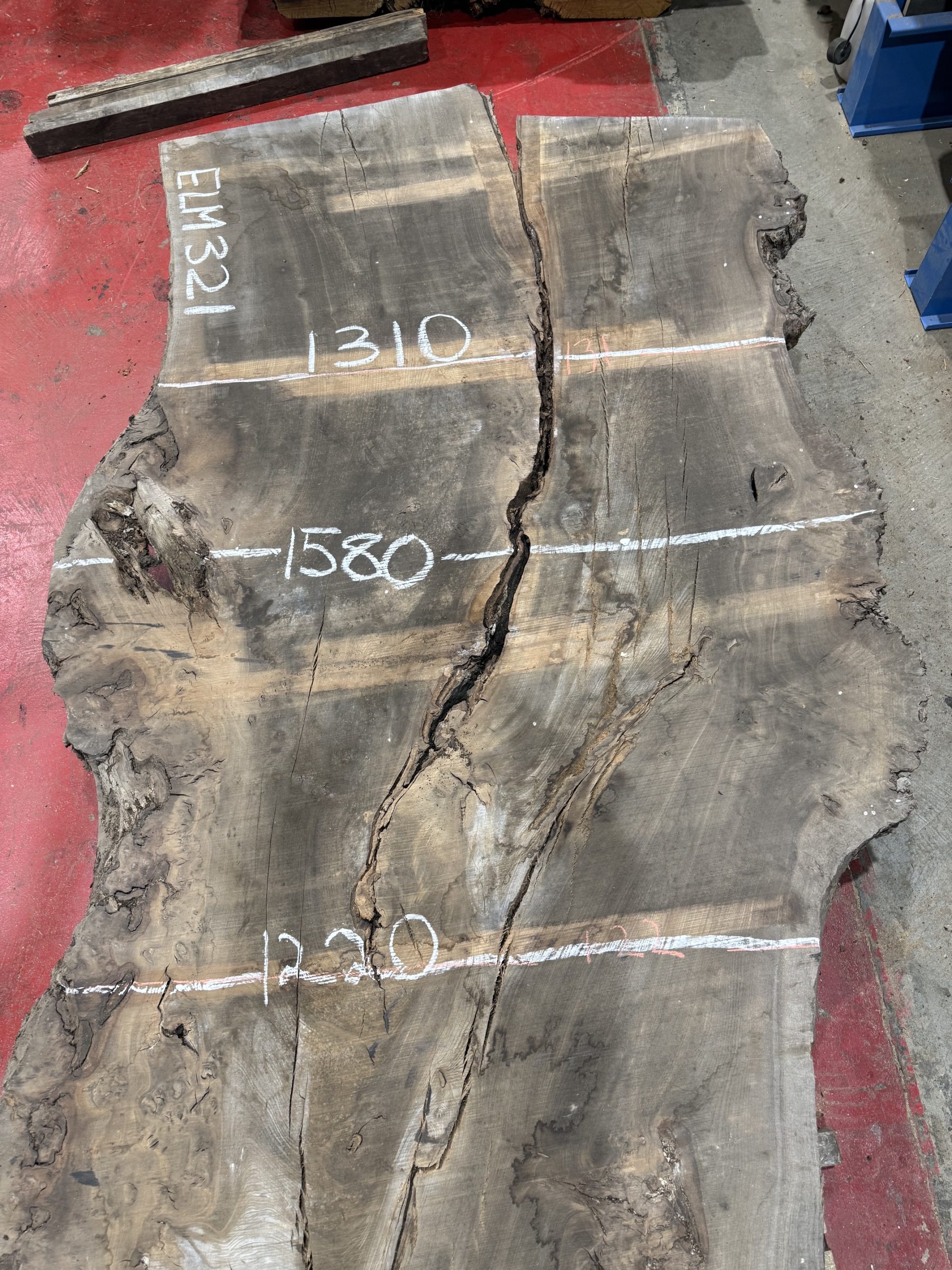 Elm 321