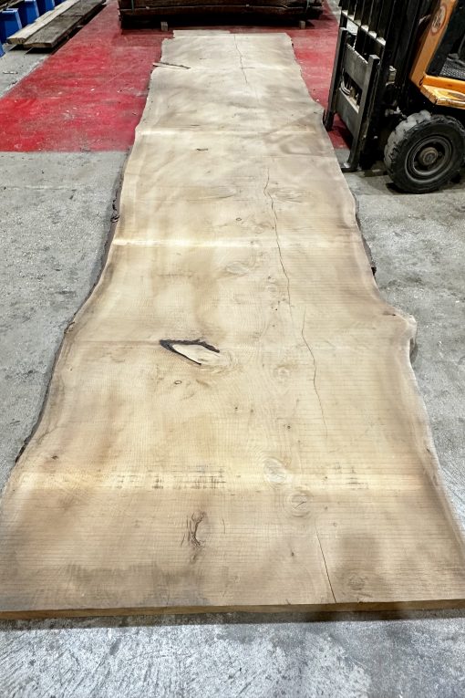 Alternative view of Cedar #221