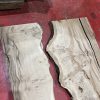 Oak #3520