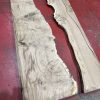 Oak #3520
