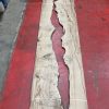 Oak #3520