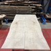 Sycamore 237