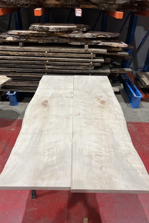 Sycamore 237
