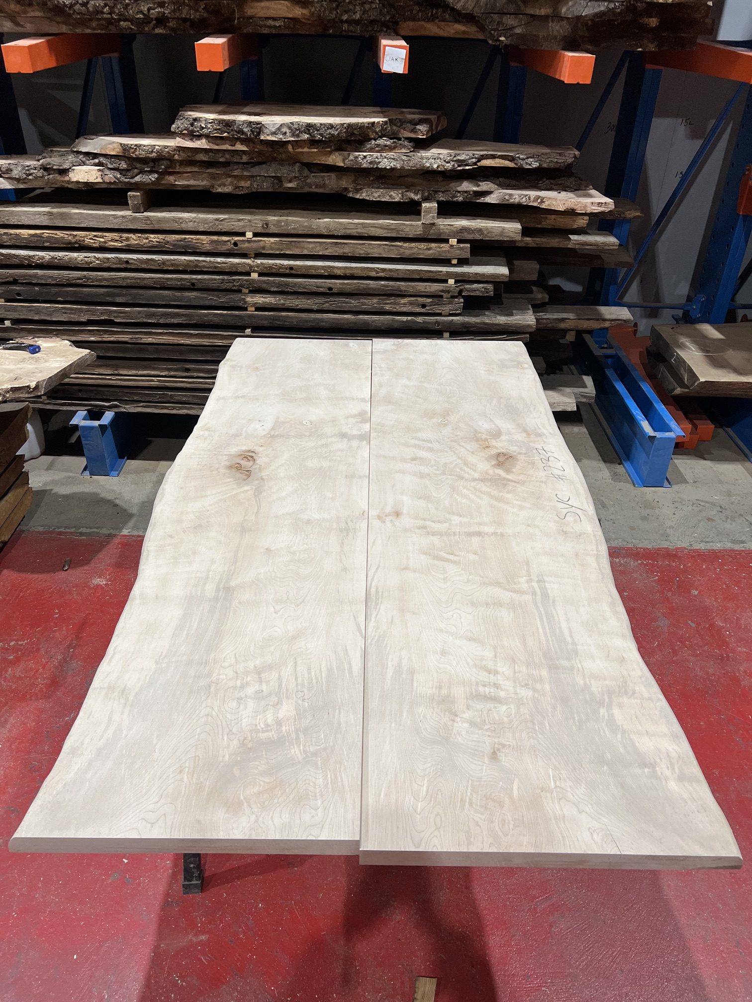 Sycamore 237