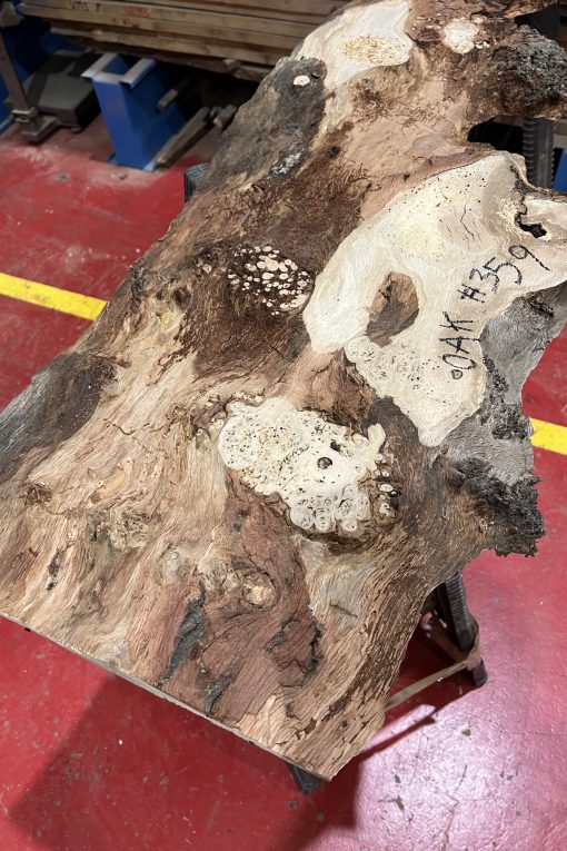 Oak 359