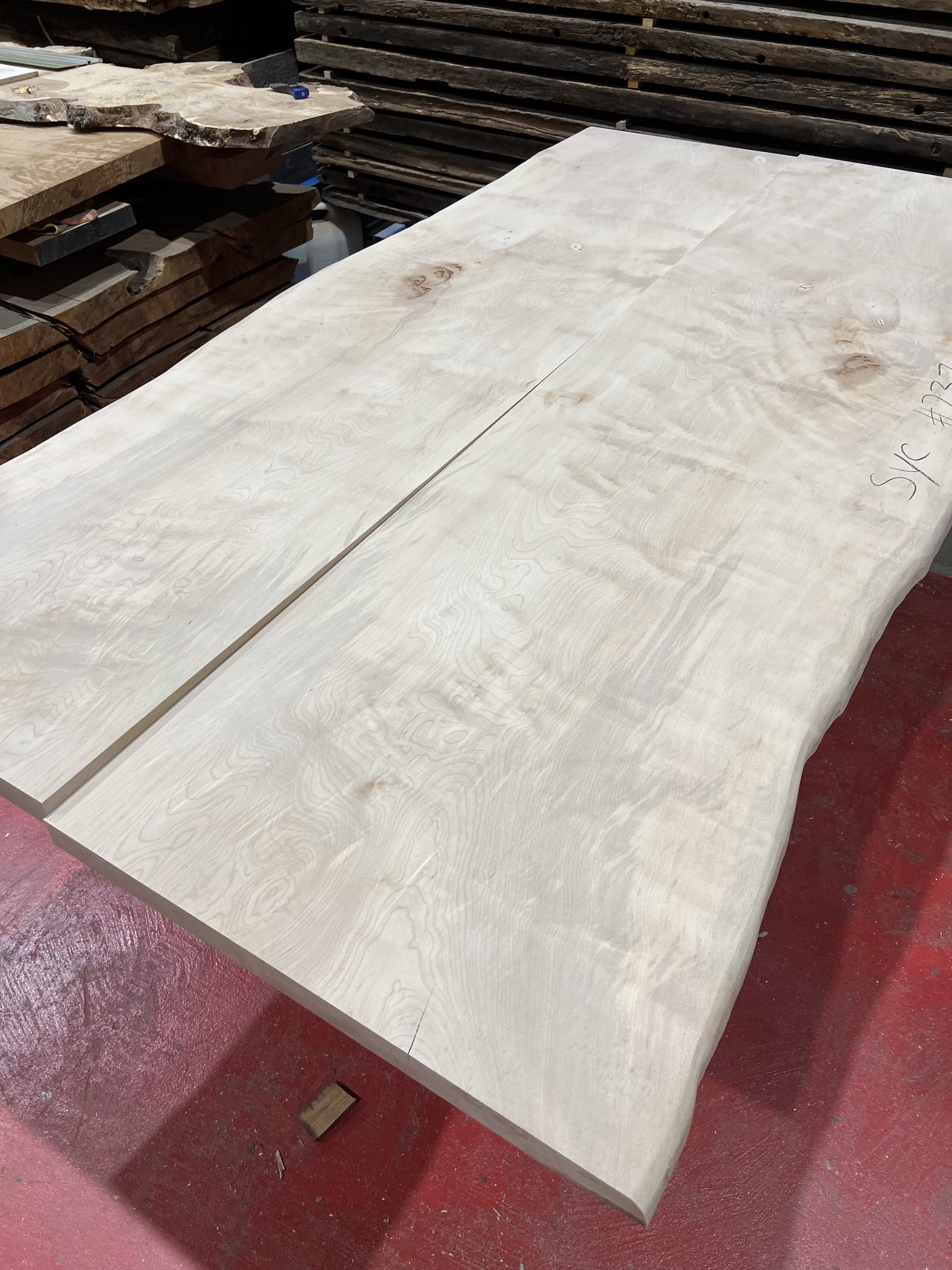 Sycamore 237