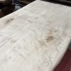 Sycamore 237