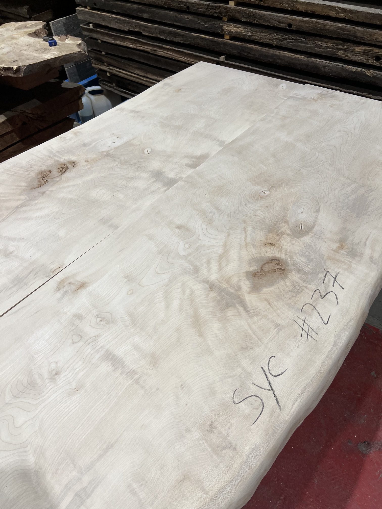 Sycamore 237