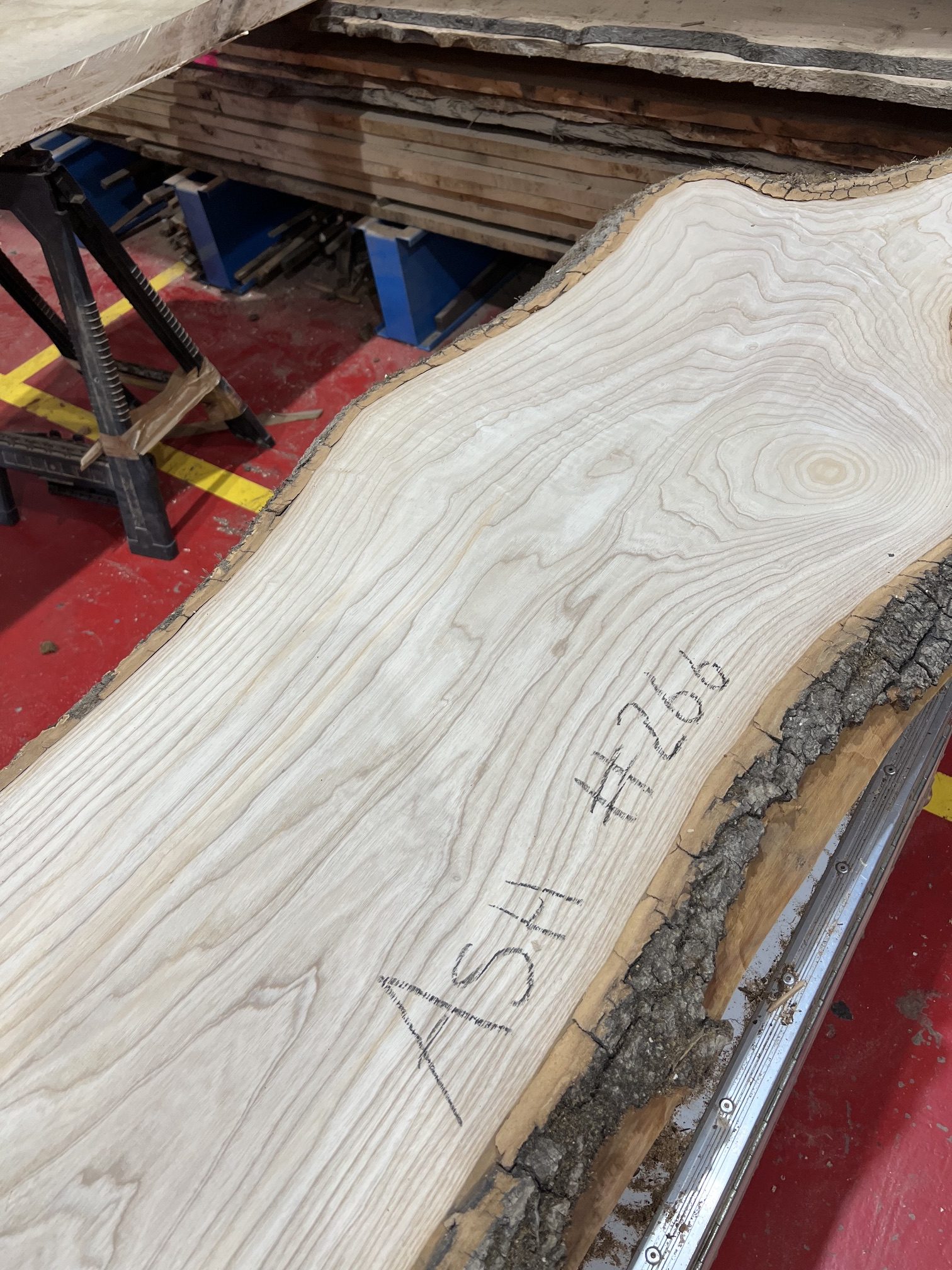 Ash #266