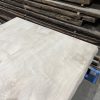 Sycamore 237