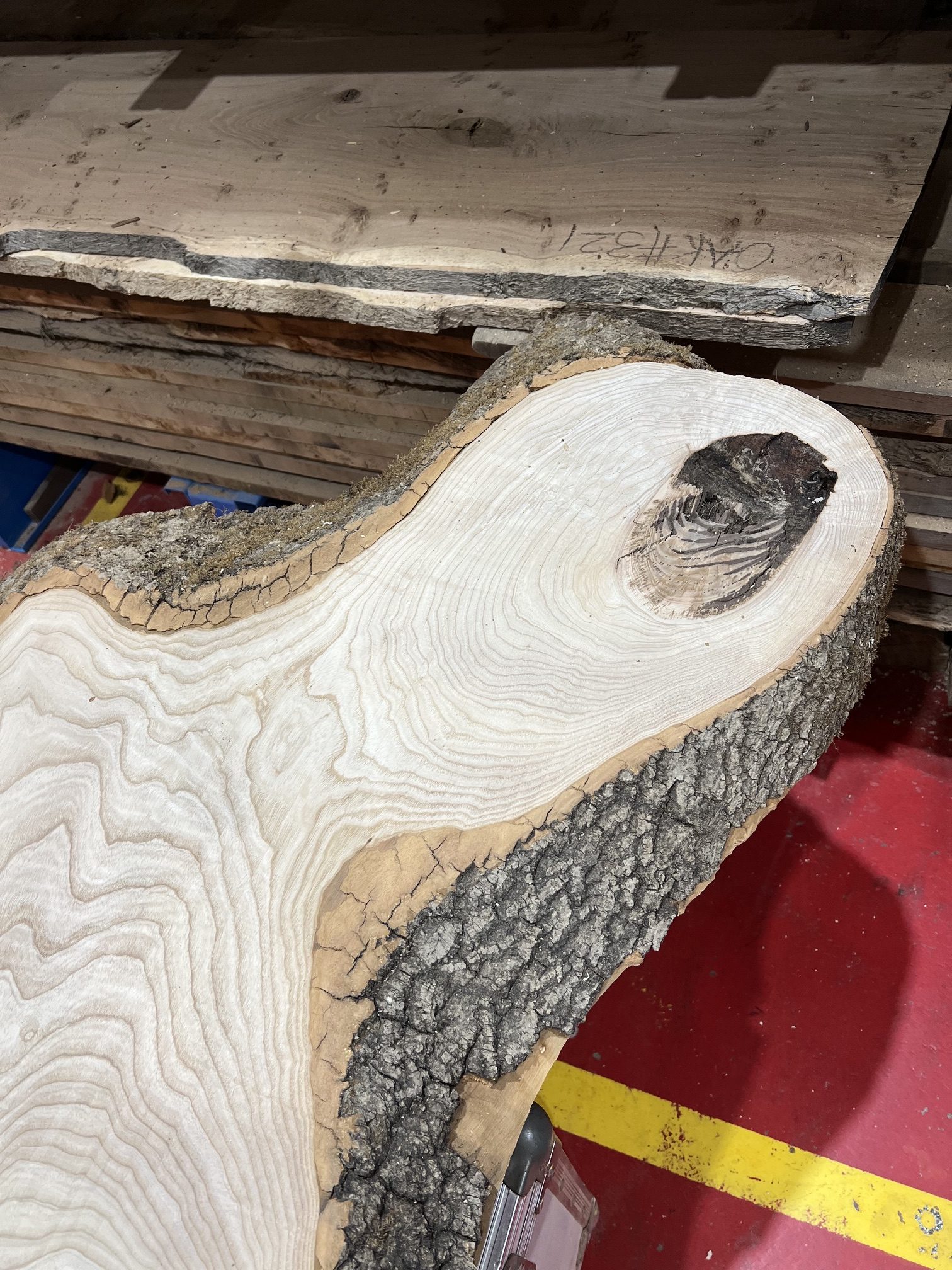 Ash #266