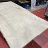 Sycamore 237