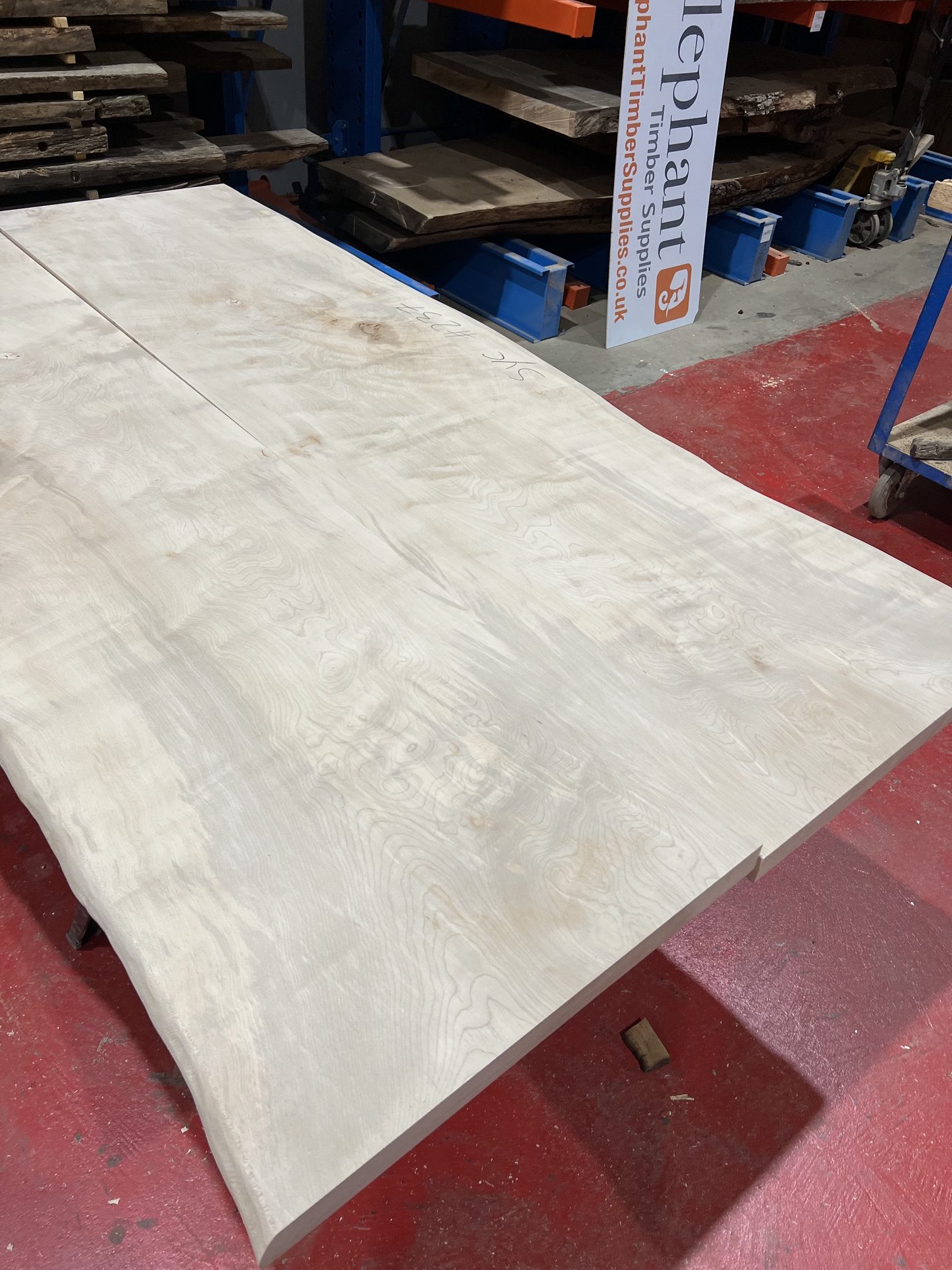 Sycamore 237