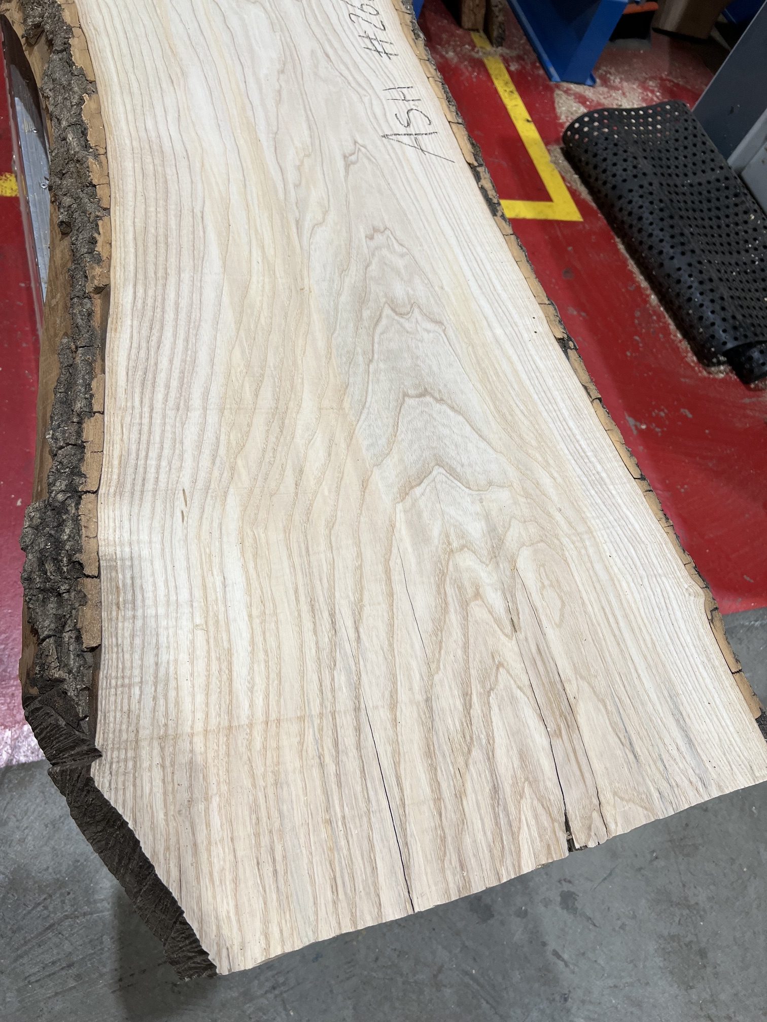 Ash #266