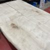 Sycamore 237