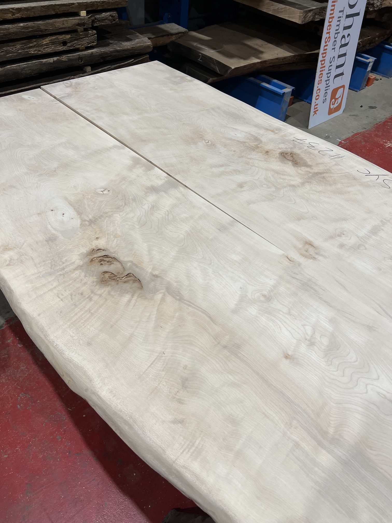 Sycamore 237