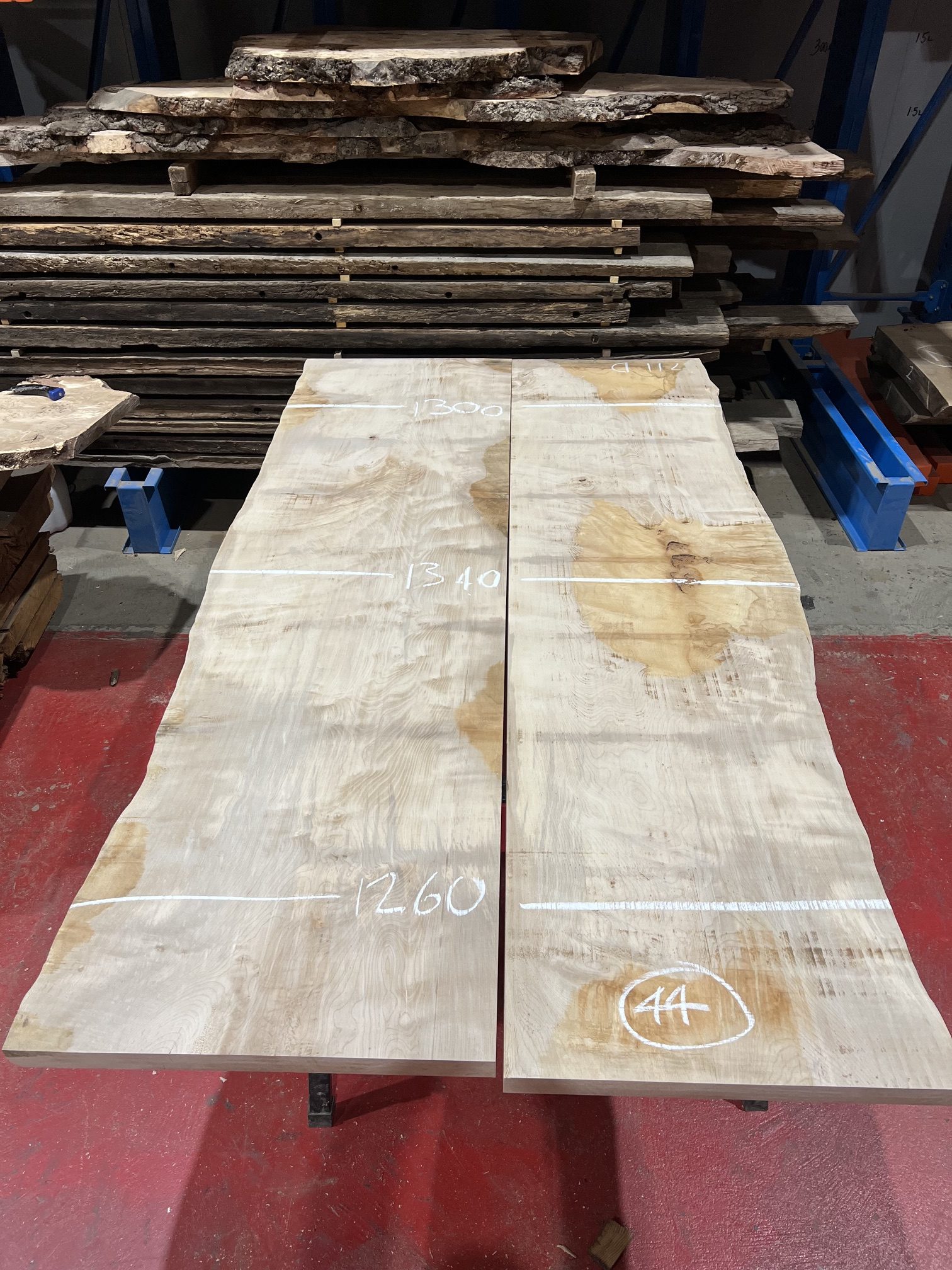 Sycamore 237