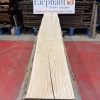 sweet chestnut 201