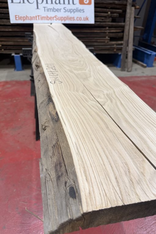 sweet chestnut 201