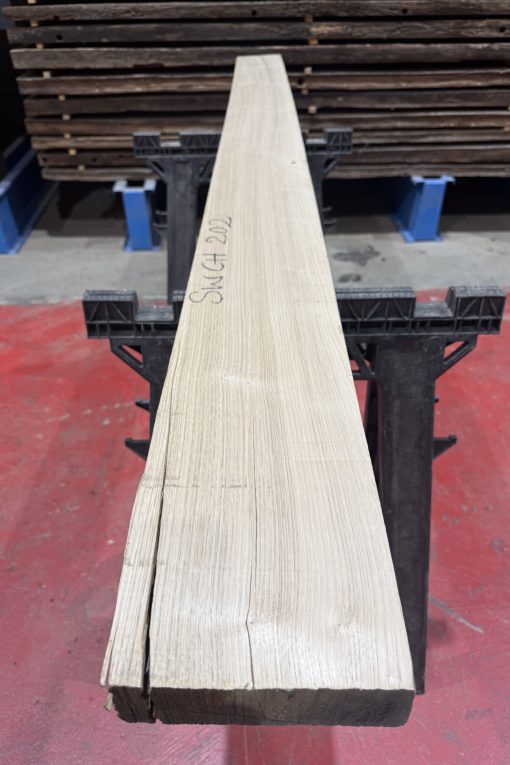 sweet chestnut 202