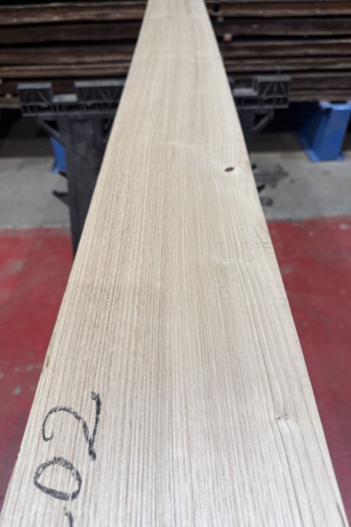 sweet chestnut 202