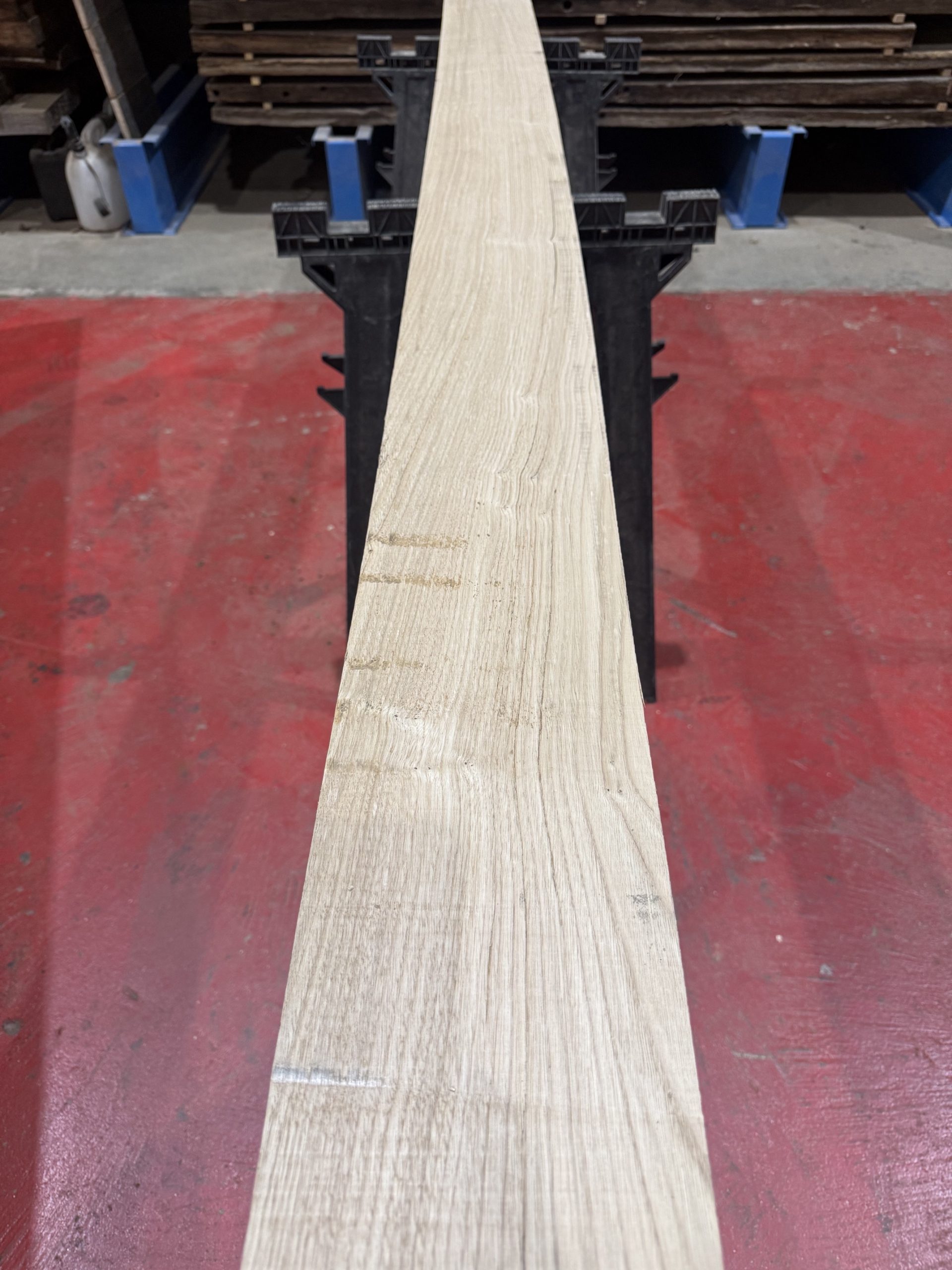 sweet chestnut 203