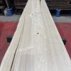 sweet chestnut 204